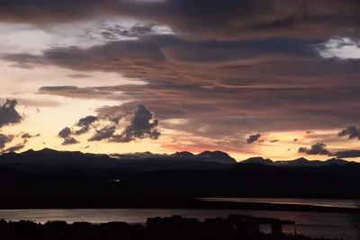 DSC_3334 (Large).JPG